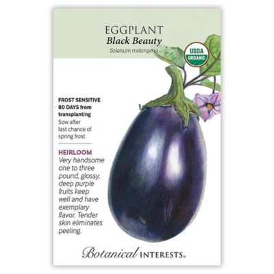 Eggplant Black Beauty Organic