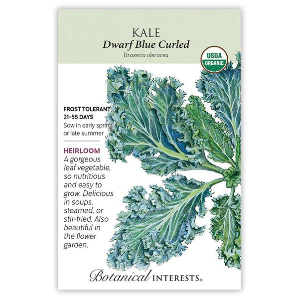 Kale Dwarf Blue Curled Organic