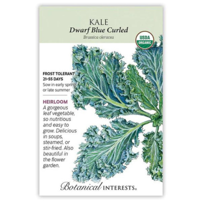 Kale Dwarf Blue Curled Organic