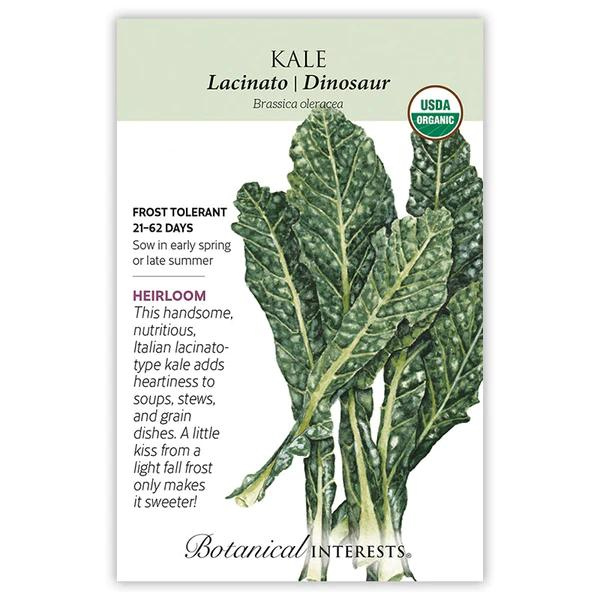 Kale Lacinato Dinosaur Organic