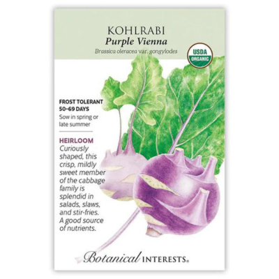 Kohlrabi Purple Vienna Organic