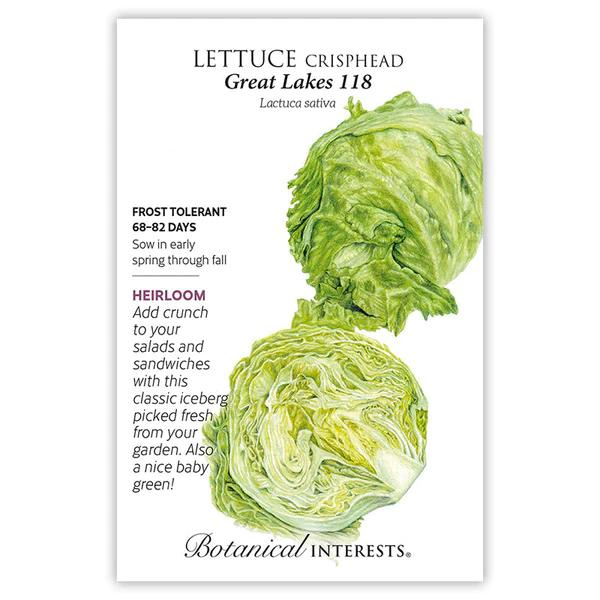 Lettuce Crisphead Great Lakes 118