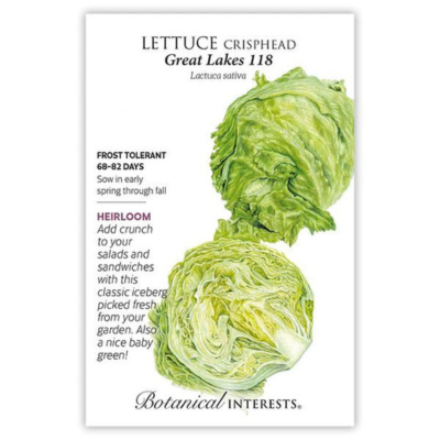 Lettuce Leaf Black Seeded Simpson Organic