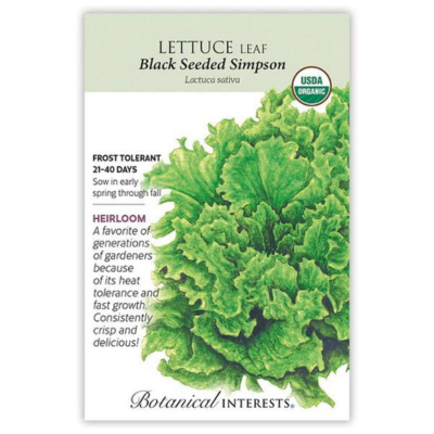 Lettuce Leaf Black Seeded Simpson Organic