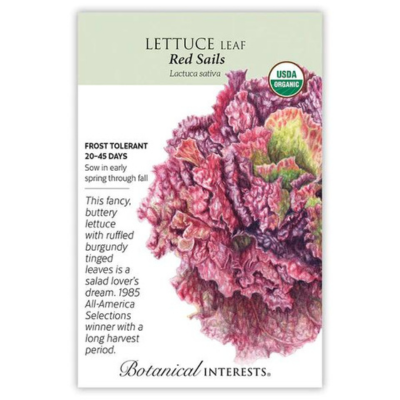 Lettuce Leaf Red Sails Organic