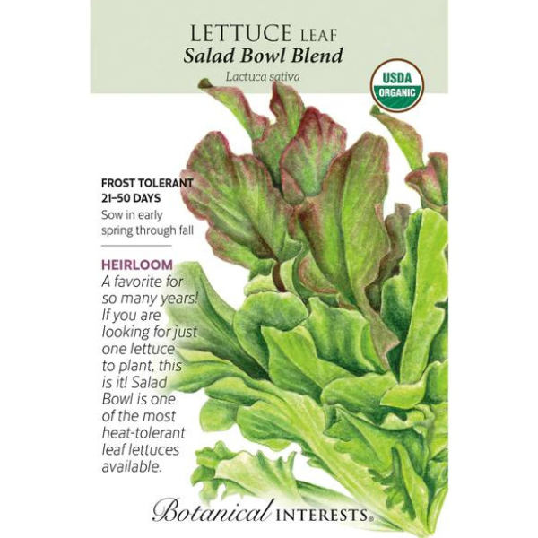 Lettuce Leaf Salad Bowl Blend Organic