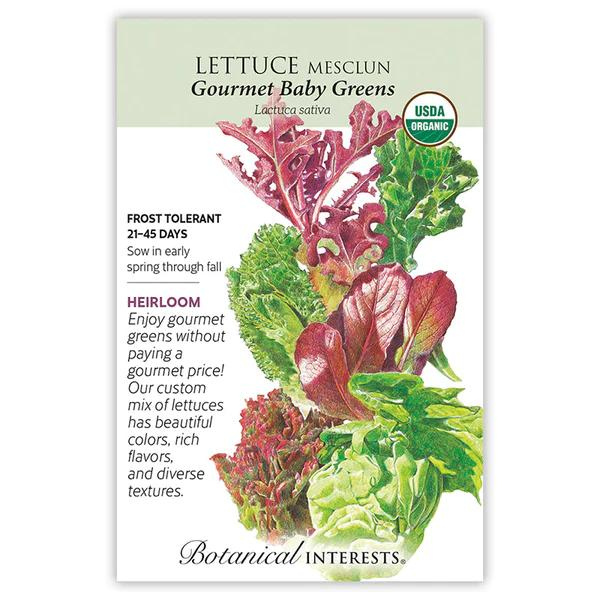 Lettuce Mesclun Gourmet Baby Greens Organic