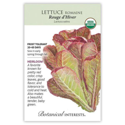 Lettuce Romaine Rouge d'Hiver Organic