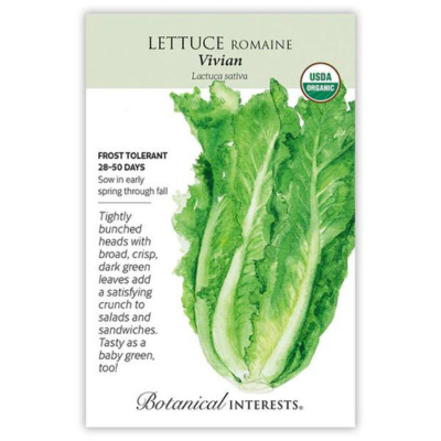 Lettuce Romaine Vivian Organic