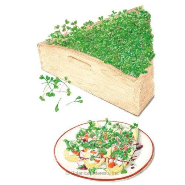 Microgreens Mellow Blend Organic 1