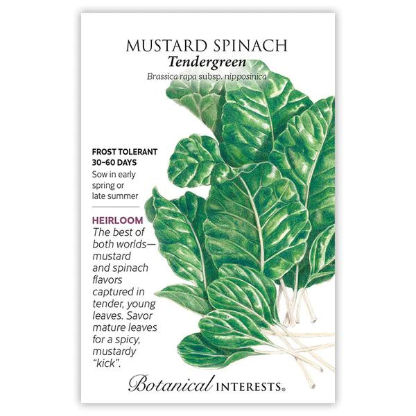 Mustard Spinach Tendergreen