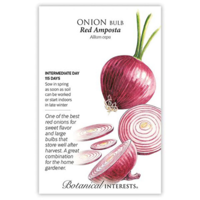 Onion Bulb Red Amposta