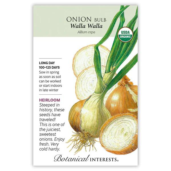 Onion Bulb Yellow Walla Walla Organic