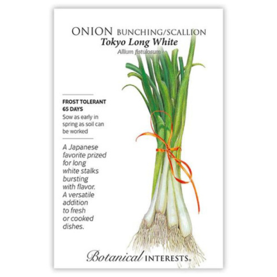 Onion Bunching Scallion Tokyo Long White