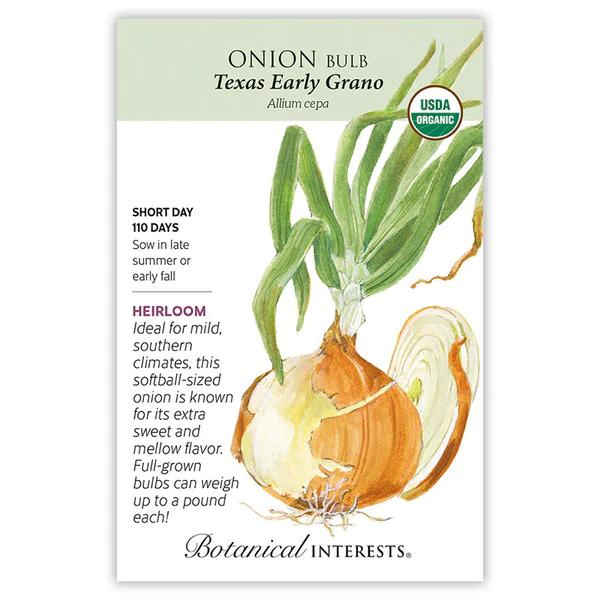 Onion Bulb Texas Early Grano Organic