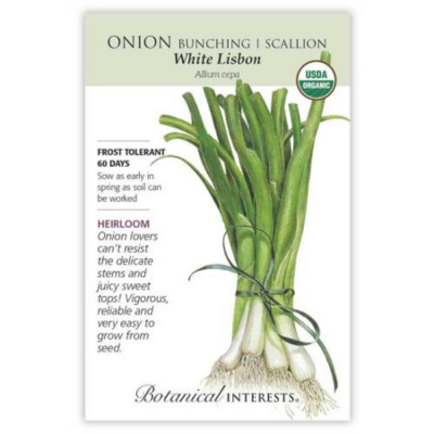 Onion White Lisbon Bunching/Scallion Organic