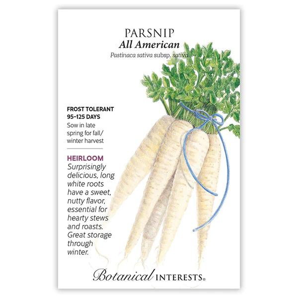 Parsnip All American