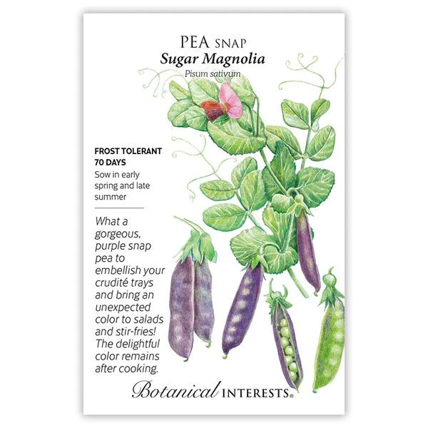 Pea Snap Sugar Magnolia Purple