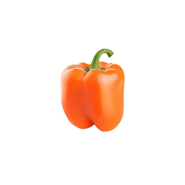 Pepper Bell Orange Coral 1