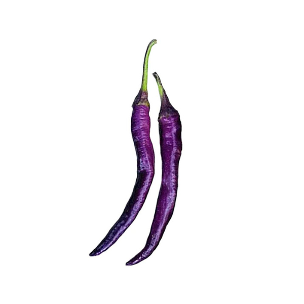 Pepper Cayenne Purple 1