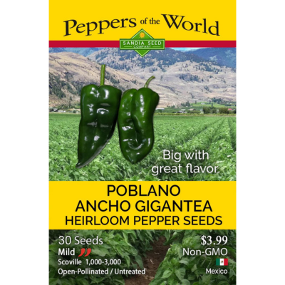 Pepper Poblano Ancho Gigantea