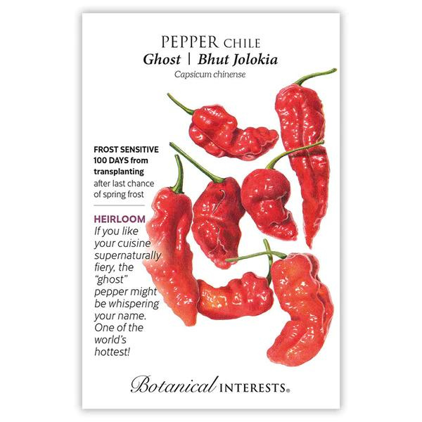 Pepper Chili Ghost Bhut Jolokia