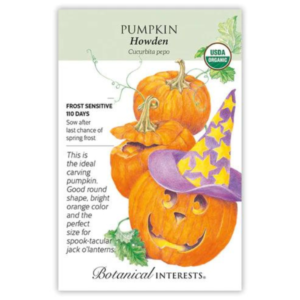 Pumpkin Howden Organic