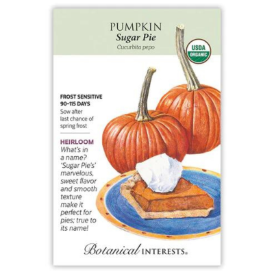 Pumpkin Sugar Pie Organic