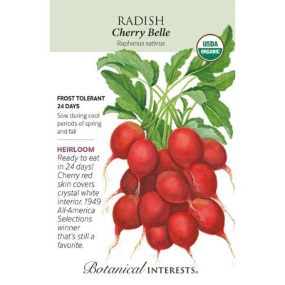 Radish Cherry Belle Organic