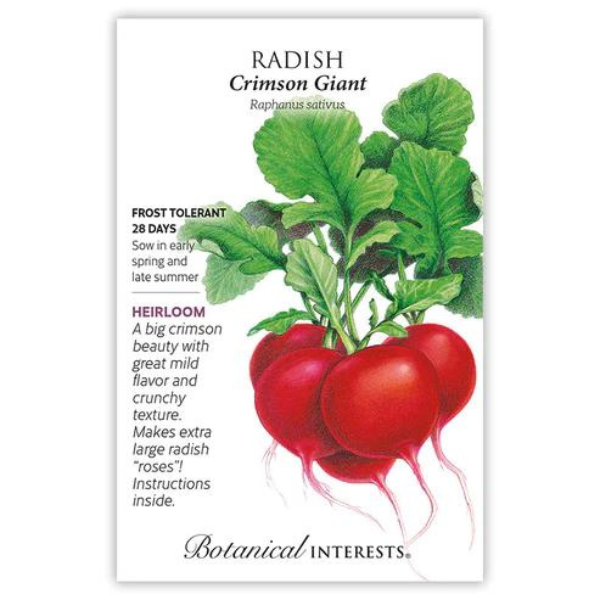 Radish Crimson Giant