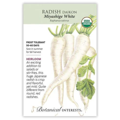 Radish Daikon Miyashige White