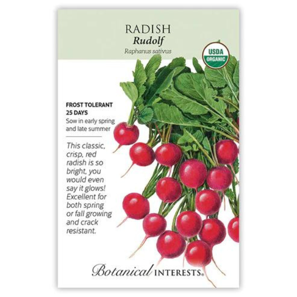 Radish Rudolf Organic