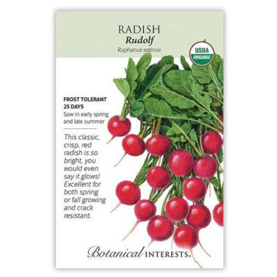 Radish Rudolf Organic