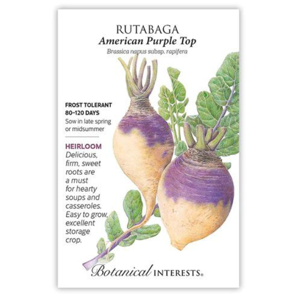 Rutabaga American Purple Top 