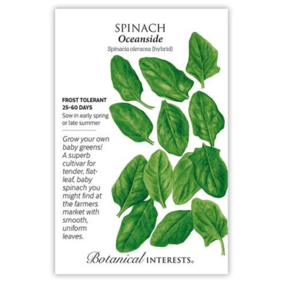 Spinach Oceanside Hybrid