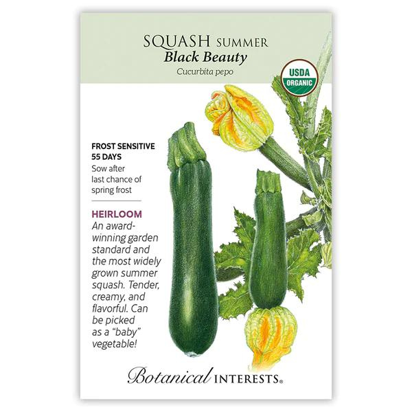 Squash Summer Black Beauty Organic