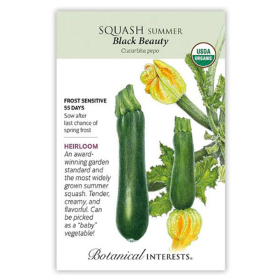 Squash Summer Black Beauty Organic