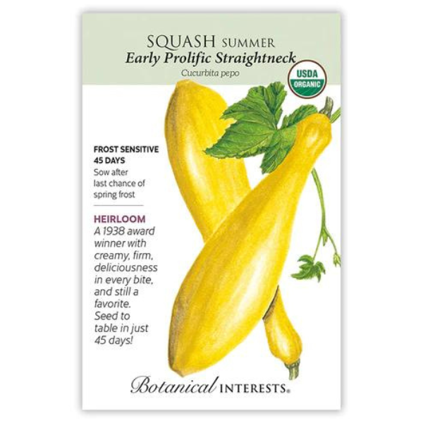 Squash Summer Early Prolific Straightneck Organic