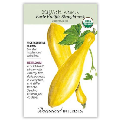 Squash Summer Early Prolific Straightneck Organic