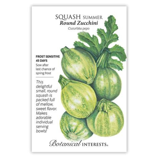 Squash Summer Round Zucchini