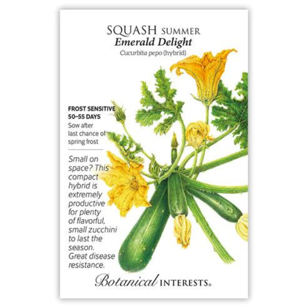 Squash Summer Emerald Delight