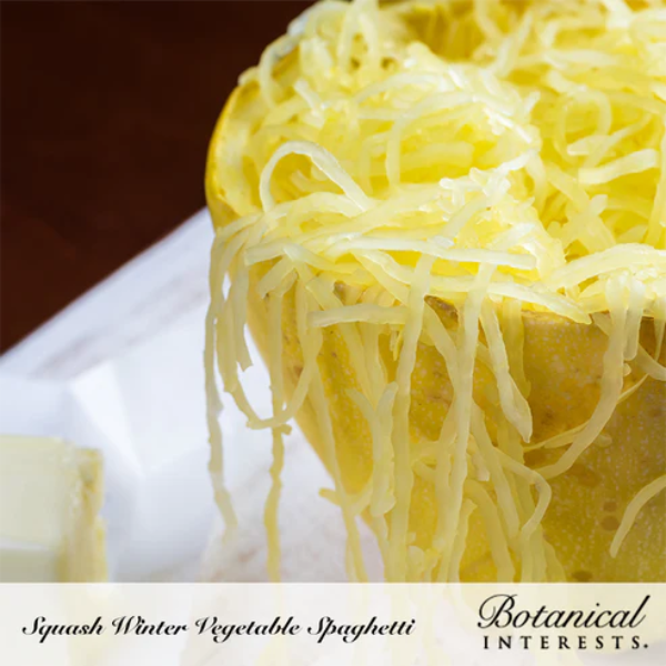 Squash Winter Vegetable Spaghetti