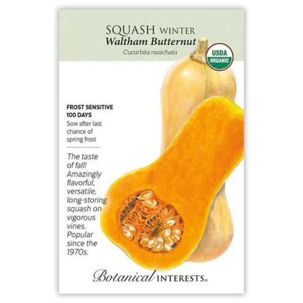 Squash Winter Waltham Butternut Organic