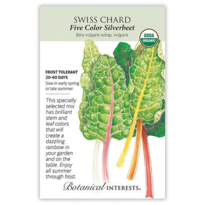 Swiss Chard Five Color Silverbeet Organic