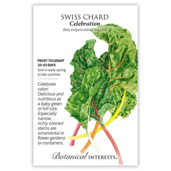 Swiss Chard Celebration