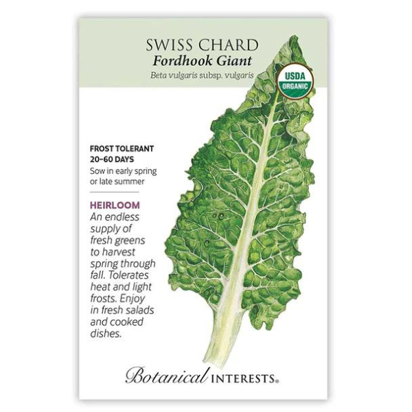 Swiss Chard Fordhook Giant