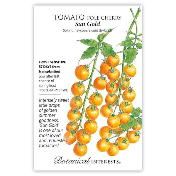 Tomato Pole Cherry Sun Gold