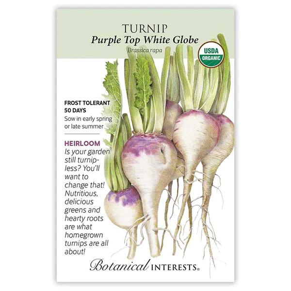 Turnip Purple Top White Globe Organic