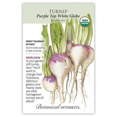 Turnip Purple Top White Globe Organic