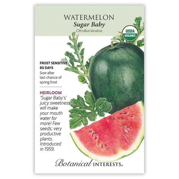 Watermelon Sugar Baby Organic